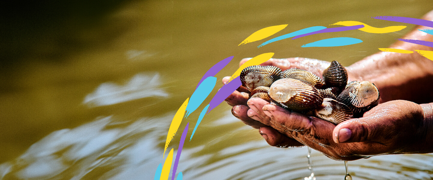 la cuenta del mar bancoagricola